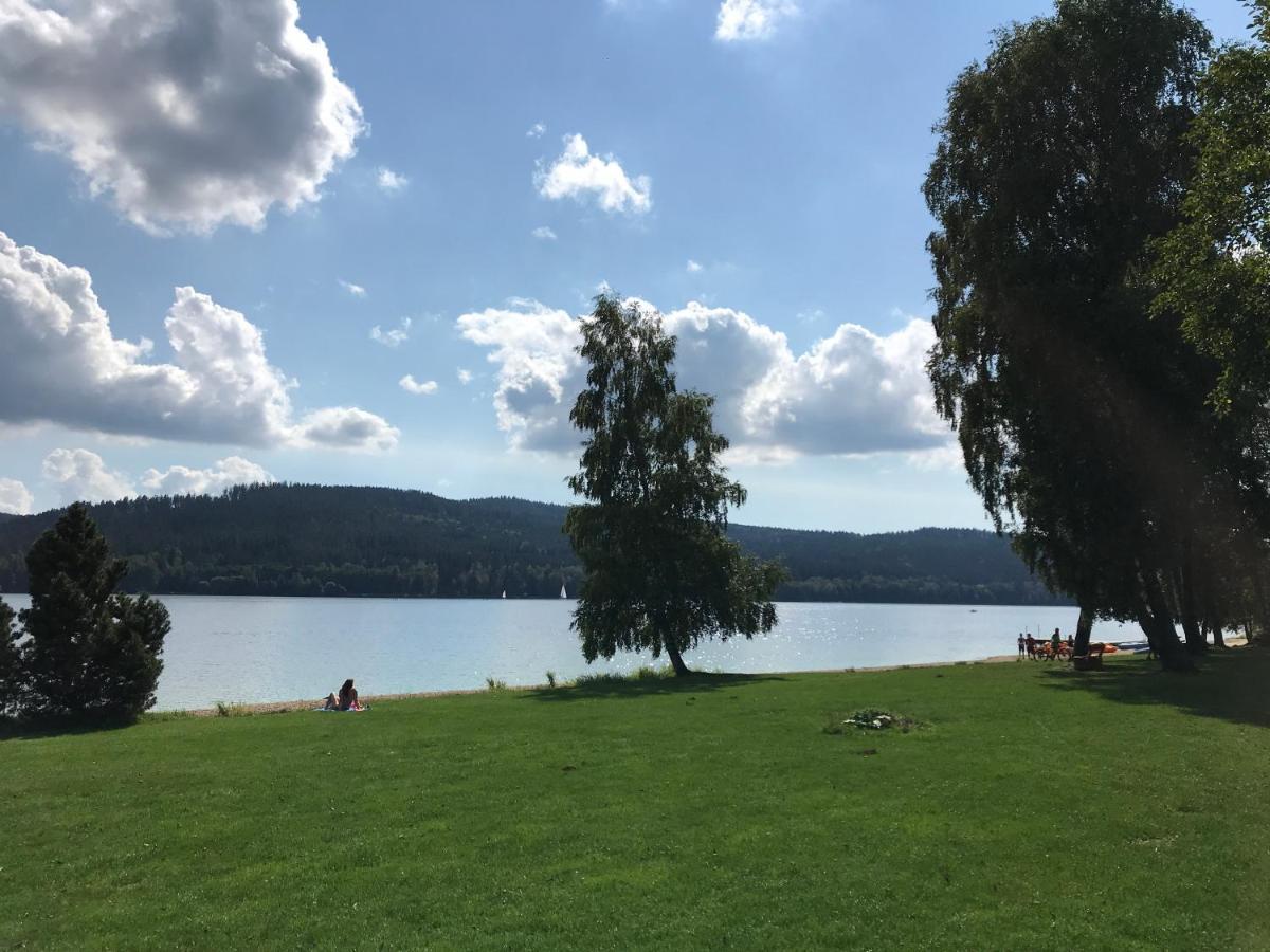 Luxury Apartman Lipno ลิปโนนัดเวิลตาวู ภายนอก รูปภาพ
